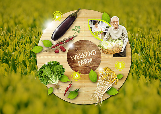 PSD 편집 편집이미지 여자 노년 남자 잎 밭 고추 가지 나뭇잎 콩 상반신 성인 두명 광주리 농사 한국인 수확 60대 배추 유기농 콩나물 이미지편집 식물 웰빙 농업 채소 곡류 사람 동양인 바구니 나물 파일형식