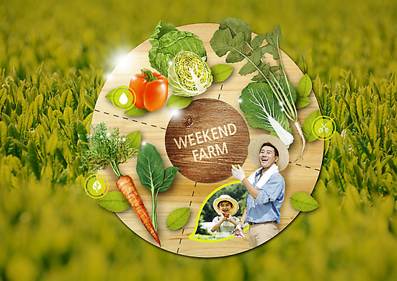 PSD 편집 편집이미지 남자 잎 밭 피망 나뭇잎 웃음 소년 상반신 성인 수건 농사 당근 한국인 수확 배추 유기농 밀짚모자 양배추 열무 이미지편집 식물 모자_잡화 웰빙 어린이 농업 채소 뿌리채소 표정 사람 동양인 위생용품 무 파일형식