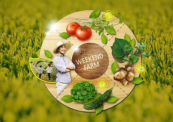 PSD 편집 편집이미지 모자 여자 남자 잎 밭 토마토 나뭇잎 오이 웃음 소녀 소년 상반신 성인 옆모습 뒷모습 세명 30대 팔짱 농사 손잡기 한국인 수확 유기농 이미지편집 식물 웰빙 잡화 어린이 뷰포인트 농업 채소 모션 표정 사람 동양인 장년 파일형식