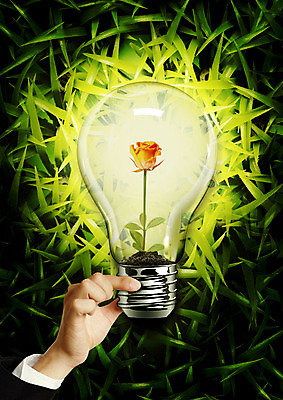 PSD 편집 편집이미지 손 꽃 전구 들기 잔디 빛 장미 새싹 자연보호 환경 그린캠페인 풀 그린에너지 이미지편집 식물 캠페인 모션 자연 신체부위 에너지 보호 파일형식