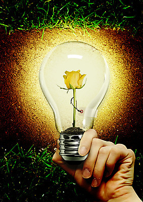 PSD 편집 편집이미지 손 꽃 전구 들기 잔디 빛 장미 자연보호 환경 그린캠페인 흙 그린에너지 이미지편집 식물 캠페인 모션 자연 신체부위 에너지 보호 파일형식