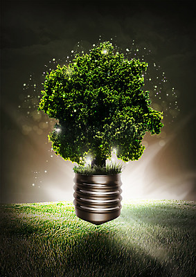 PSD 나무 편집 편집이미지 전구 초원 사람없음 빛 자연보호 환경 그린캠페인 이미지편집 식물 캠페인 자연 보호 파일형식