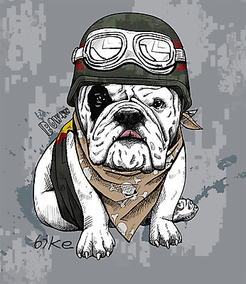 PSD 일러스트 고글 해골 취미 사람없음 반려동물 귀여움 바이크 스카프 활발 강아지 헬멧 스케치 즐거움 불독 잉글리쉬불독 국내일러스트 동물 감정 육상교통 컨셉 뼈 미술 목도리 개 보호장비 파일형식