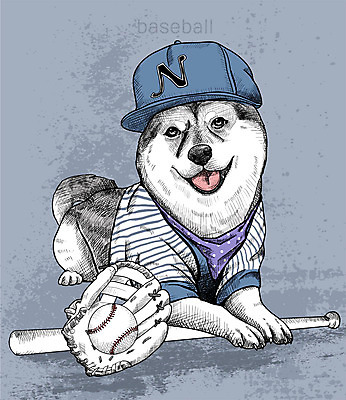 PSD 일러스트 취미 사람없음 반려동물 귀여움 활발 야구 야구방망이 야구글러브 강아지 스케치 즐거움 야구공 야구모자 시바견 국내일러스트 동물 모자_잡화 감정 컨셉 공 미술 구기 야구용품 글러브 개 파일형식