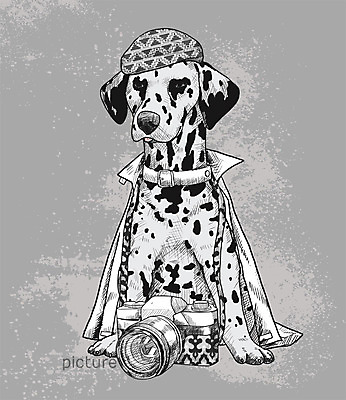 PSD 모자 일러스트 취미 사람없음 반려동물 카메라 귀여움 활발 강아지 스케치 즐거움 달마시안 국내일러스트 동물 잡화 감정 컨셉 미술 전자제품 개 파일형식