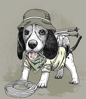 PSD 밧줄 일러스트 아웃도어 취미 사람없음 반려동물 귀여움 등산 활발 강아지 스케치 등산복 즐거움 등산용품 비글 등산가방 등산모자 로프고리 국내일러스트 동물 모자_잡화 옷 감정 줄 컨셉 가방 미술 트래킹 개 레포츠용품 파일형식