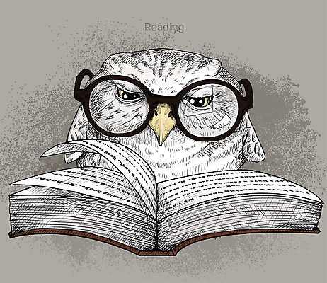 PSD 일러스트 취미 사람없음 책 독서 귀여움 활발 스케치 즐거움 부엉이 올빼미 안경낌 국내일러스트 감정 안경 컨셉 조류 미술 파일형식