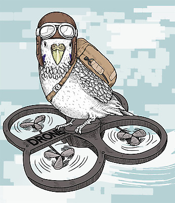 PSD 일러스트 배낭 조류 고글 취미 사람없음 귀여움 활발 스케치 즐거움 드론 잉꼬 국내일러스트 동물 감정 컨셉 가방 미술 파일형식