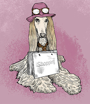 PSD 모자 일러스트 취미 사람없음 반려동물 쇼핑 선글라스 쇼핑백 귀여움 스카프 활발 강아지 스케치 즐거움 아프간하운드 국내일러스트 동물 잡화 감정 안경 컨셉 가방 미술 목도리 개 하운드 파일형식