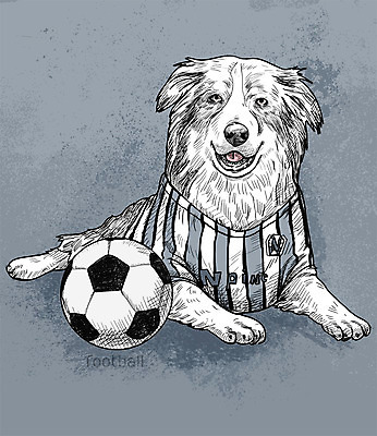 PSD 일러스트 축구공 취미 사람없음 반려동물 귀여움 축구 활발 강아지 스케치 즐거움 셔틀랜드시프도그 국내일러스트 동물 감정 컨셉 공 축구용품 미술 구기 개 파일형식