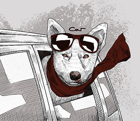 PSD 일러스트 자동차 취미 사람없음 반려동물 선글라스 귀여움 목도리 활발 드라이브 강아지 스케치 즐거움 레드독 국내일러스트 동물 잡화 감정 안경 육상교통 컨셉 미술 운전 개 파일형식