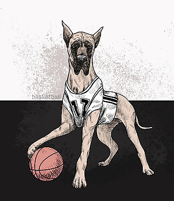 PSD 일러스트 농구 농구공 취미 사람없음 반려동물 귀여움 활발 강아지 스케치 즐거움 농구복 그레이트덴 국내일러스트 동물 감정 컨셉 공 미술 운동복 구기 개 파일형식