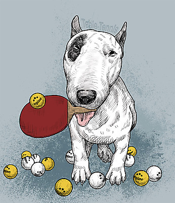 PSD 일러스트 취미 사람없음 반려동물 귀여움 활발 탁구채 강아지 탁구 스케치 즐거움 탁구공 불테리어 국내일러스트 동물 감정 컨셉 공 미술 구기 라켓 탁구용품 개 테리어 파일형식