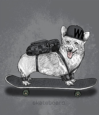 PSD 모자 일러스트 배낭 취미 사람없음 반려동물 귀여움 활발 스케이트보드 강아지 스케치 즐거움 웰시코기 국내일러스트 동물 잡화 감정 컨셉 가방 미술 보드_스포츠 개 파일형식
