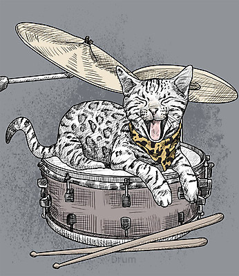 PSD 일러스트 취미 사람없음 반려동물 귀여움 고양이 활발 스케치 즐거움 드럼 드럼스틱 뱅갈 국내일러스트 동물 감정 컨셉 포유류 타악기 미술 파일형식