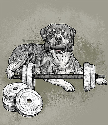 PSD 일러스트 취미 사람없음 반려동물 운동 귀여움 활발 아령 강아지 역기 스케치 즐거움 국내일러스트 동물 감정 컨셉 건강 미술 개 파일형식