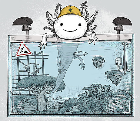 PSD 일러스트 어류 취미 사람없음 귀여움 활발 헬멧 수조 스케치 즐거움 공사중 우파루파 국내일러스트 감정 컨셉 공사 미술 수중동물 보호장비 파일형식