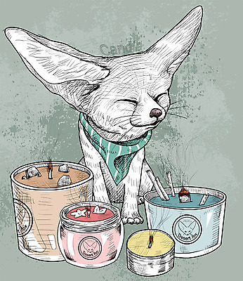 PSD 일러스트 초 취미 사람없음 귀여움 활발 스케치 즐거움 사막여우 소이캔들 국내일러스트 감정 컨셉 미술 여우 파일형식