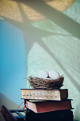 포토 JPG 기독교 종교 사람없음 성경 둥지 부활절계란 국내포토 종교용품 부활절 계란 파일형식