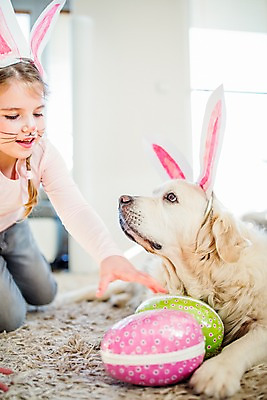 포토 JPG 백인 한마리 여자 실내 한명 상반신 앞모습 분장 카펫 유치원생 개 토끼머리띠 부활절계란 기어가기 국내포토 서양인 1 어린이 뷰포인트 포유류 모션 부활절 사람 내부 계란 머리띠 파일형식