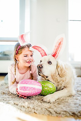 포토 JPG 백인 한마리 여자 엎드리기 실내 한명 미소 들기 상반신 앞모습 분장 카펫 유치원생 개 토끼머리띠 부활절계란 국내포토 서양인 1 어린이 뷰포인트 포유류 모션 부활절 표정 사람 내부 계란 머리띠 파일형식