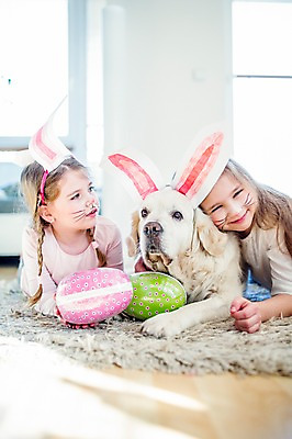 포토 JPG 백인 한마리 여자 초등학생 어린이 엎드리기 실내 미소 상반신 두명 앞모습 분장 카펫 유치원생 개 토끼머리띠 부활절계란 국내포토 서양인 1 학생 뷰포인트 포유류 모션 부활절 표정 사람 내부 계란 머리띠 파일형식