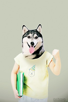 PSD 편집이미지 의인화 사람없음 책 반려동물 파이팅 강아지 시베리안허스키 디지털합성 합성 초상화 반려 이미지편집 동물 모션 개 그림 파일형식