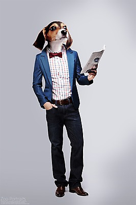 전신 PSD 편집이미지 나비넥타이 의인화 사람없음 반려동물 재킷 청바지 신문 강아지 디지털합성 합성 초상화 반려 이미지편집 동물 바지 넥타이 간행물 외투 뉴스 개 그림 파일형식