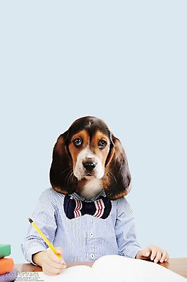 PSD 편집이미지 교육 나비넥타이 의인화 사람없음 책 반려동물 연필 강아지 디지털합성 합성 비글 초상화 반려 이미지편집 동물 넥타이 학용품 필기구 개 그림 파일형식