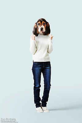 전신 PSD 편집이미지 의인화 사람없음 반려동물 파이팅 청바지 강아지 디지털합성 니트 합성 비글 초상화 반려 이미지편집 동물 상의 바지 모션 개 그림 파일형식