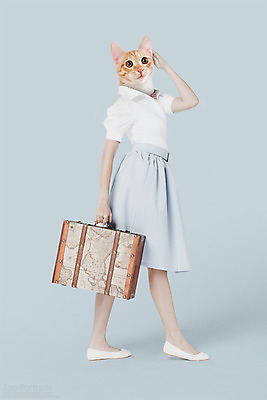 전신 PSD 편집이미지 여행 의인화 사람없음 반려동물 여행가방 고양이 디지털합성 합성 초상화 반려 이미지편집 동물 가방 포유류 그림 파일형식