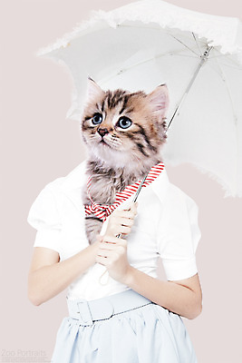 PSD 편집이미지 의인화 사람없음 반려동물 스카프 고양이 디지털합성 합성 양산 초상화 반려 이미지편집 동물 포유류 목도리 그림 파일형식