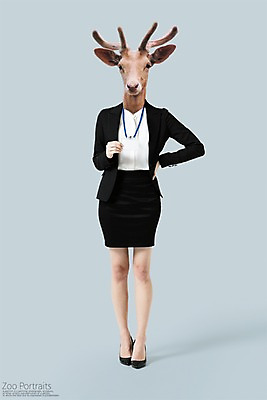 전신 PSD 편집이미지 허리손 사슴 의인화 정장 사람없음 디지털합성 합성 사원증 초상화 반려 이미지편집 옷 포즈 비즈니스 포유류 그림 파일형식