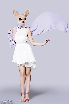 전신 PSD 편집이미지 원피스 의인화 사람없음 반려동물 스카프 강아지 디지털합성 합성 치와와 초상화 반려 이미지편집 동물 옷 목도리 개 그림 파일형식