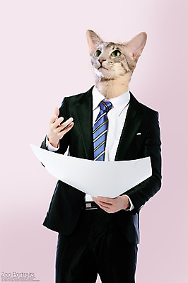 PSD 편집이미지 종이 넥타이 의인화 정장 사람없음 반려동물 고양이 디지털합성 합성 초상화 반려 이미지편집 동물 잡화 옷 포유류 그림 파일형식