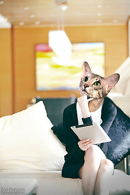 PSD 편집이미지 생각 실내 의인화 사람없음 반려동물 소파 고양이 턱괴기 다리꼬기 디지털합성 합성 초상화 반려 이미지편집 동물 의자 포유류 모션 내부 그림 파일형식