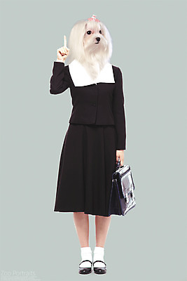 전신 PSD 편집이미지 교복 책가방 의인화 사람없음 반려동물 강아지 디지털합성 복고 합성 초상화 반려 이미지편집 동물 옷 가방 개 그림 파일형식