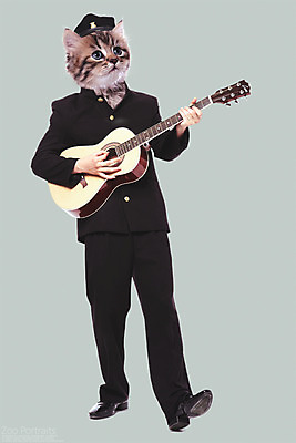 전신 PSD 편집이미지 교복 연주 의인화 사람없음 반려동물 고양이 기타 디지털합성 복고 합성 초상화 반려 이미지편집 동물 옷 음악 포유류 현악기 그림 파일형식