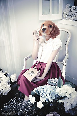 PSD 편집이미지 꽃 의자 실내 의인화 사람없음 반려동물 강아지 전화기 디지털합성 합성 초상화 반려 이미지편집 식물 동물 가구 내부 개 그림 파일형식