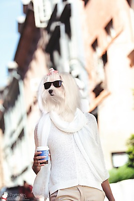 주간 PSD 편집이미지 의인화 사람없음 야외 반려동물 선글라스 스카프 강아지 종이컵 디지털합성 합성 초상화 반려 이미지편집 자연요소 동물 안경 컵 목도리 개 일회용 그림 파일형식