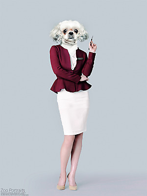전신 PSD 편집이미지 의인화 정장 사람없음 반려동물 만년필 비즈니스우먼 강아지 디지털합성 합성 초상화 반려 이미지편집 동물 옷 여자 비즈니스 펜 직장인 개 그림 파일형식