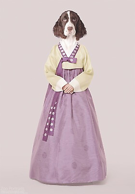 전신 PSD 편집이미지 의인화 사람없음 반려동물 강아지 한복 디지털합성 합성 초상화 반려 이미지편집 동물 한국전통 개 전통의상 그림 파일형식