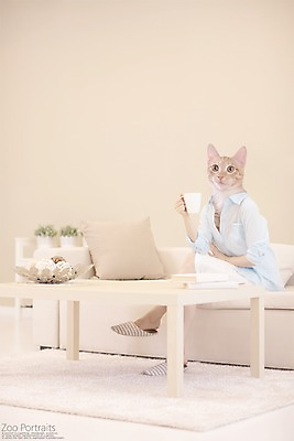 PSD 편집이미지 쿠션 탁자 휴식 실내 의인화 사람없음 책 반려동물 소파 고양이 카펫 커피잔 디지털합성 합성 초상화 반려 이미지편집 동물 커피 가구 컨셉 의자 포유류 잔 내부 그림 파일형식