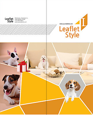 PSD 템플릿 편집 표지디자인 북디자인 출판디자인 표지 리플렛 2단접지 북커버 여러마리 베개 한명 팜플렛 선물상자 다리 말티즈 비글 불테리어 반려 이미지템플릿 1 다수 침구 선물 사람 상자 개 테리어 파일형식