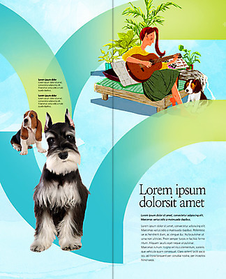 PSD 템플릿 편집 표지디자인 북디자인 출판디자인 여자 내지 리플렛 연주 2단접지 북커버 세마리 한명 앉기 팜플렛 성인 기타 슈나우저 바셋하운드 평상 반려 이미지템플릿 1 음악 모션 현악기 3 사람 개 하운드 파일형식