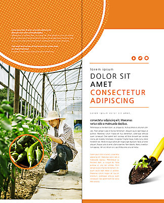 전신 PSD 템플릿 편집 표지디자인 북디자인 웰빙 출판디자인 남자 내지 리플렛 40대 2단접지 북커버 고추 한명 앉기 팜플렛 성인 수건 농사 흙 한국인 수확 농부 모종삽 밀짚모자 귀농 비닐하우스 이미지템플릿 직업 모자_잡화 1 중년 농업 채소 모션 사람 동양인 위생용품 삽 파일형식