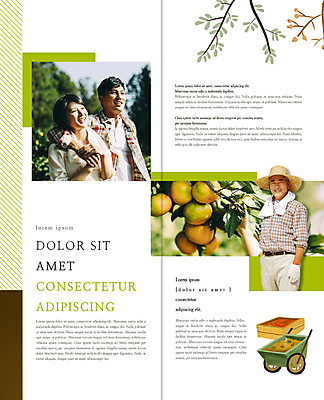 PSD 템플릿 편집 표지디자인 북디자인 웰빙 부부 출판디자인 여자 열매 남자 내지 리플렛 2단접지 북커버 어깨동무 귤 웃음 팜플렛 상반신 성인 세명 30대 수건 농사 수레 한국인 수확 나뭇가지 60대 농부 밀짚모자 귀농 이미지템플릿 나무 식물 직업 모자_잡화 커플 노년 포즈 농업 과일 표정 사람 동양인 장년 위생용품 카트 파일형식