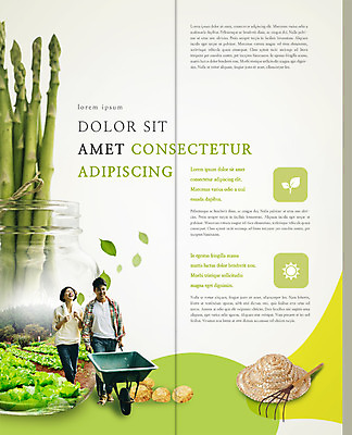 PSD 템플릿 편집 표지디자인 북디자인 웰빙 부부 출판디자인 여자 남자 내지 리플렛 밭 2단접지 북커버 유리병 웃음 팜플렛 성인 두명 30대 농사 수레 한국인 밀짚모자 아스파라거스 귀농 갈퀴 이미지템플릿 모자_잡화 커플 농업 채소 병_용기 표정 사람 동양인 장년 카트 파일형식