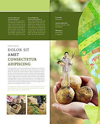 전신 PSD 템플릿 편집 표지디자인 북디자인 손 웰빙 출판디자인 여자 남자 내지 리플렛 40대 밭 2단접지 북커버 감자 서기 웃음 팜플렛 여러명 성인 바구니 농사 당근 한국인 수확 농부 허수아비 귀농 파 이미지템플릿 직업 중년 다수 농업 채소 모션 뿌리채소 표정 사람 동양인 신체부위 파일형식