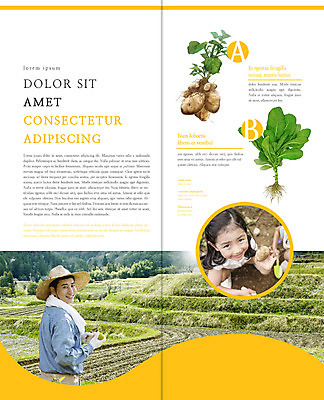 PSD 템플릿 편집 표지디자인 북디자인 웰빙 출판디자인 여자 남자 내지 어린이 리플렛 밭 2단접지 북커버 감자 웃음 소녀 팜플렛 상반신 성인 두명 30대 수건 농사 한국인 수확 농부 밀짚모자 귀농 이미지템플릿 직업 모자_잡화 농업 채소 표정 사람 동양인 장년 위생용품 파일형식